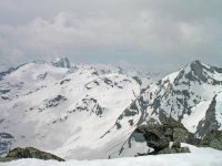 IMG_2707.jpg