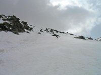 IMG_2772.jpg