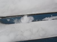 IMG_6305.jpg