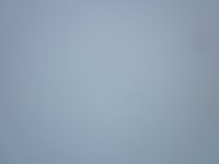 IMG_6350.jpg