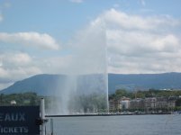 IMG_6949.jpg