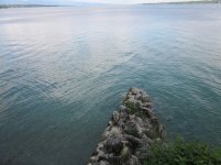 IMG_7005.jpg
