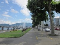 IMG_7014.jpg
