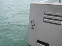 IMG_7018.jpg