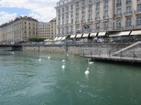 IMG_7021.jpg