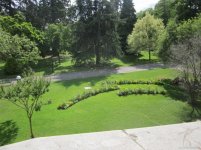 IMG_7039.jpg