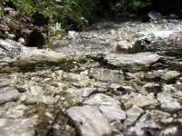 Dolomiti 16-07-12 (329).jpg