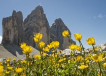 Dolomiti 18-07-12 (305).jpg