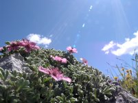 Dolomiti 18-07-12 (117).jpg