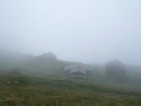 P1.JPG