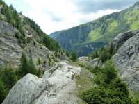 P28.JPG