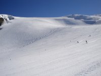 dsc01149_653.jpg