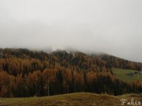 dolomiten_welt_19_408.jpg