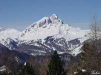 wlf-montagna_903.jpg