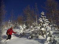 cima_nassere_3_dic_05__60__126.jpg