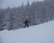 cima_nassere_3_dic_05__45__107.jpg