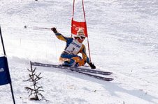 stenmarkthoeni95-5_910.jpg