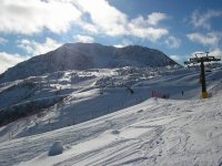 immagine_017_426.jpg