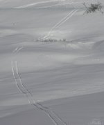 bi-tri-cliff_723.jpg