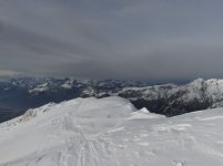 immagine_028_196.jpg