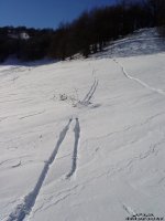 dsc04087_375.jpg