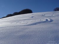 fuoripista-la-polsa-02_674.jpg