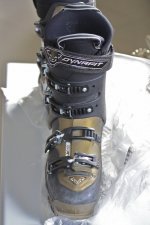 IMG_2391.jpg
