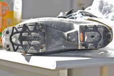 IMG_2393.jpg