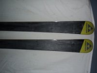 gigantesoletta1.jpg