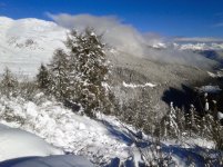 20121129_110932.jpg