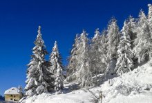 20121129_112522.jpg