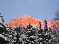 IMG_1627.jpg