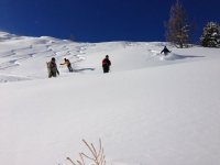ImageUploadedByTapatalk1359039171.473856.jpg