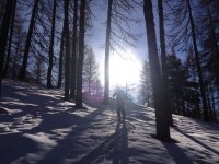 ImageUploadedByTapatalk1359039185.669192.jpg