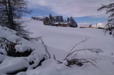 IMAG0914.jpg