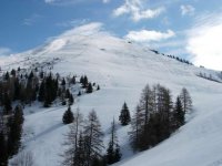 20080421165317.jpg