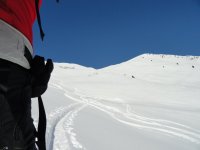 DSC02558.jpg