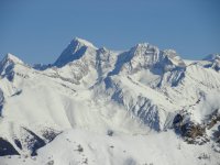 DSC02567.jpg