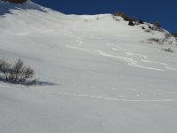 DSC02571.jpg