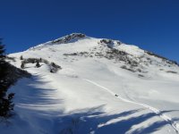 DSC02572.jpg