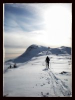ImageUploadedByTapatalk HD1359406930.685586.jpg