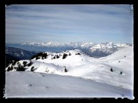 ImageUploadedByTapatalk HD1359406941.454062.jpg