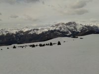2013-02-08 14.25.53.jpg 2013-02-08 14.25.53.jpg
