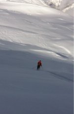 ImageUploadedByTapatalk1360700683.987997.jpg