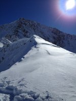 IMG_0800.jpg