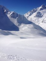 IMG_1414.jpg