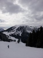 20130226_132546.jpg