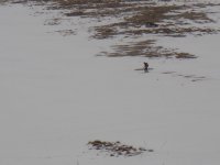DSC01227.jpg