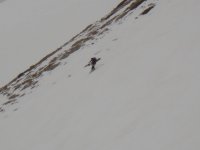 DSC01230.jpg