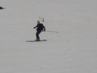 DSC01247.jpg